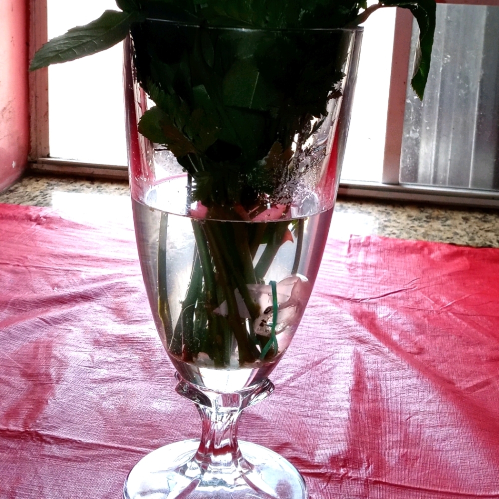Tall Glass Vase